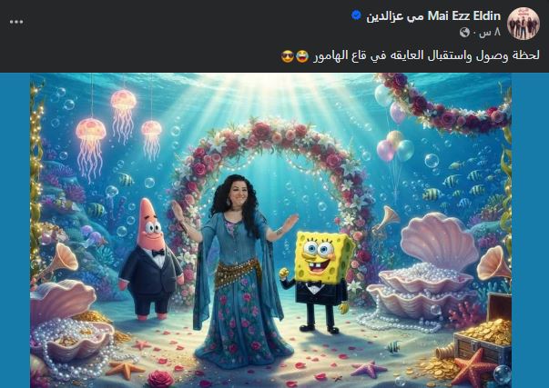 مي عز الدين